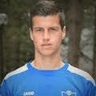 K. Toshevski
