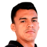 F. Espinoza