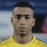 Mahmoud  El Badry