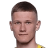 P. Pashevich