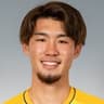H. Teruyama