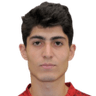 L. Bashoyan