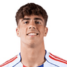 Afonso Moreira