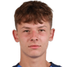 V. Tarasenko