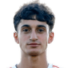 H. Pahlevanyan