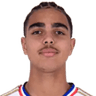 K. Yahia