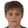 N. Godec