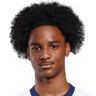 T. Thompson