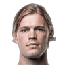 H. Andersson