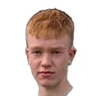 B. Þorsteinsson