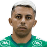 Felipe Marques