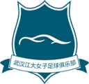 Wuhan Jiangda W